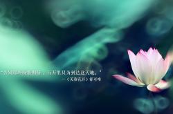 英雄联盟总决赛赛程-唯一的残月，努涅斯在2026世界杯之夜的终极回答