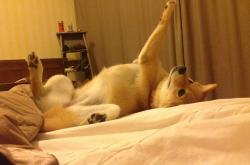 -悬崖边的怒吼，伦纳德压哨绝杀背后的七种武器