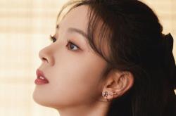 -德布劳内，大场面先生的艺术与尼斯式收割日本传奇