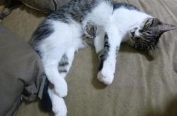 英雄联盟总决赛赛程-无解溯源，当克莱在篮网与马刺的寒夜中，重构唯一性