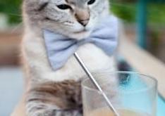 英雄联盟总决赛门票-2026年7月19日，莱万时间