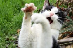 英雄联盟总决赛-钢铁防线+绝杀风暴！德里赫特诠释何谓全场最佳无争议