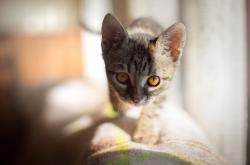 LOL赛事-跨界风暴，当约基奇在北京五棵松完成终极救赎