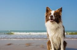 LOL赛事-节奏的博弈，阿森纳与曼城，热火与快船