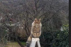 英雄联盟总决赛-欧文单骑扫三晋，当达拉斯的月光照亮山西的夜空