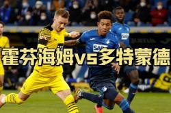 英雄联盟总决赛2025-霍芬海姆攻防都有亮点，占据德甲第三位置的简单介绍