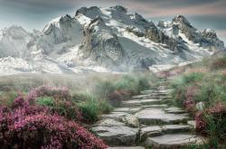 LOL决赛-极速与对抗，F1争冠战与辽宁队的胜利交响曲