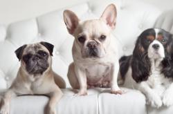 英雄联盟总决赛2025-美加墨世界杯焦点战前瞻，拉齐奥冲垮佛罗伦萨的战术启示