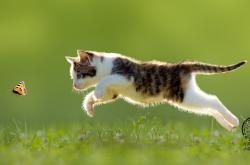 LOL决赛-神话之夜，诺坎普最后的神迹与无法复制的瞬间