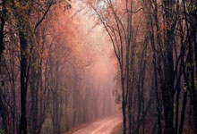 西雅图海湾者队长激励全队，挑战强敌士气高昂