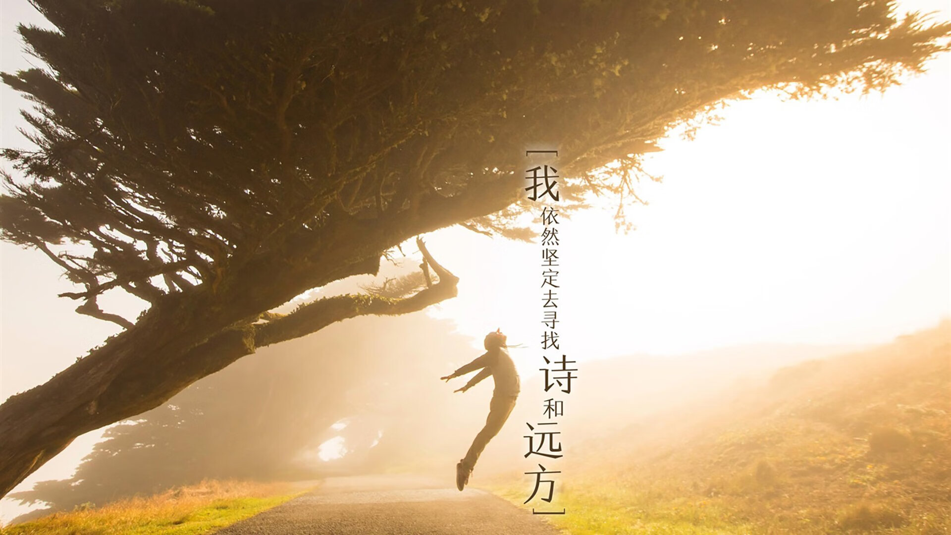 剧终哨响，魔法失效之夜，范弗利特提前终结悬念的冰冷现实