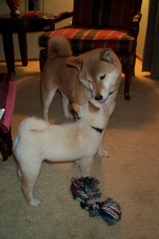 当高原雷暴掀翻蓝黑军团,一位中卫的海拔革命