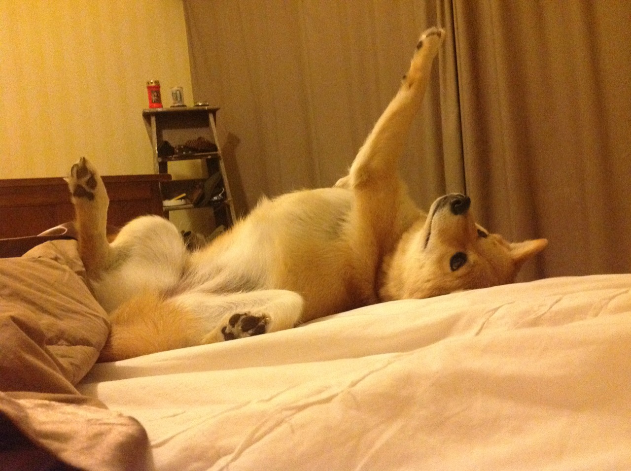 悬崖边的怒吼，伦纳德压哨绝杀背后的七种武器