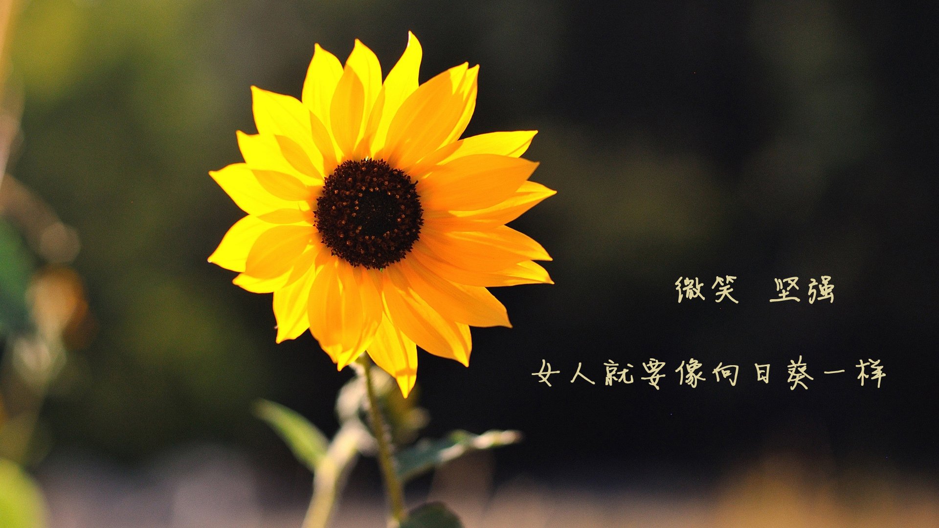 航海家的终极航海，孔德压哨击沉厄瓜多尔，葡萄牙险中求胜