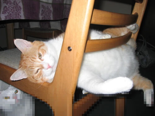 袋鼠军团踏平钢铁洪流，C罗在西决生死战接管比赛