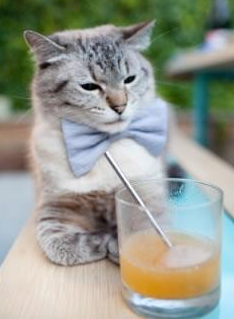 2026年7月19日，莱万时间