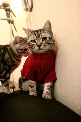 欧战之夜,两种降维打击,当黄潜艇的精密齿轮碾过马赛,京多安在何处布下无解题?