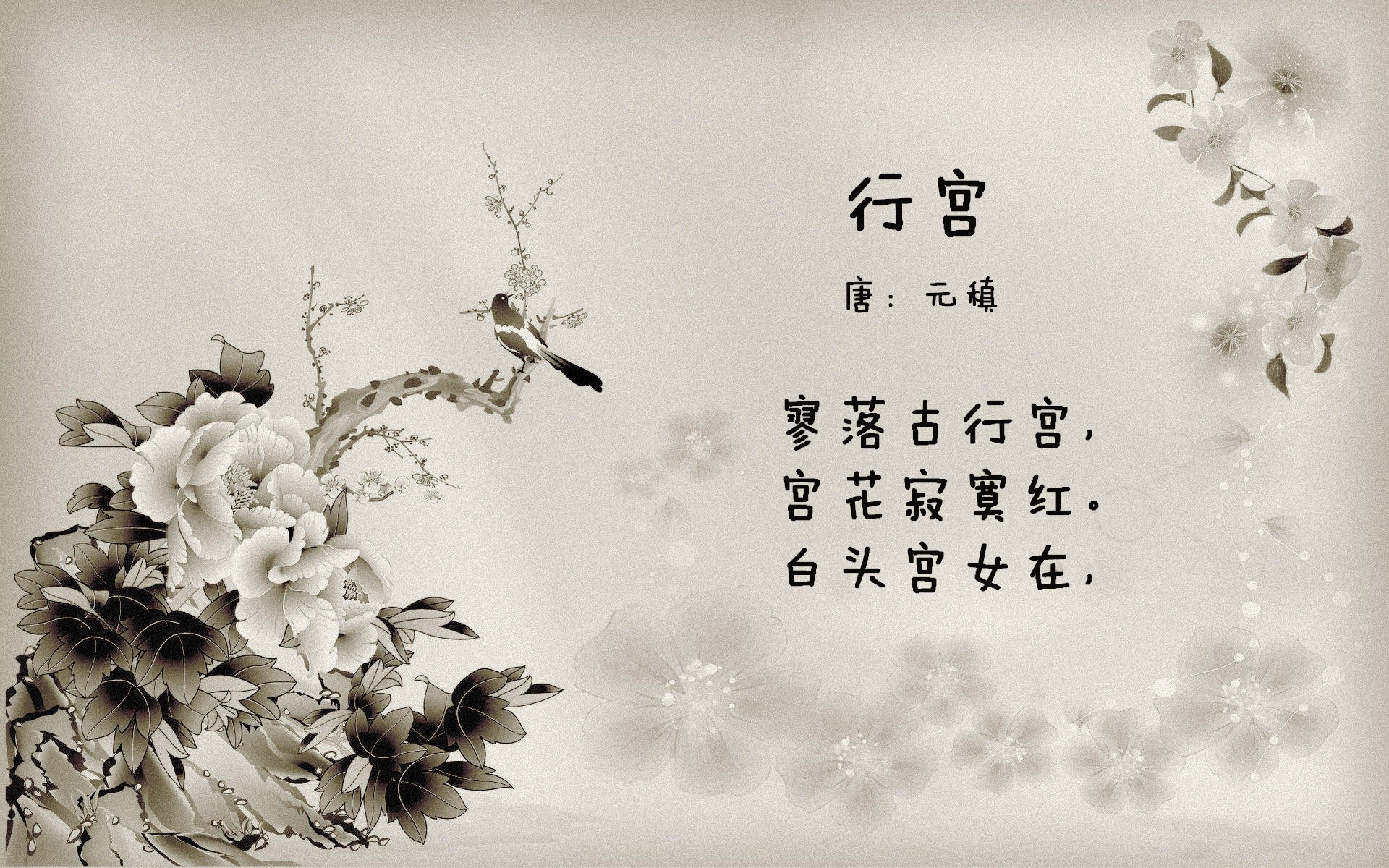 希腊怪兽跨时空助攻?字母哥战术板意外点拨快船击溃灰熊