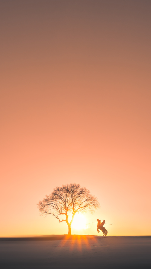 破茧之刃与破局之人,马克西如何撕裂76人老迈体系的重围