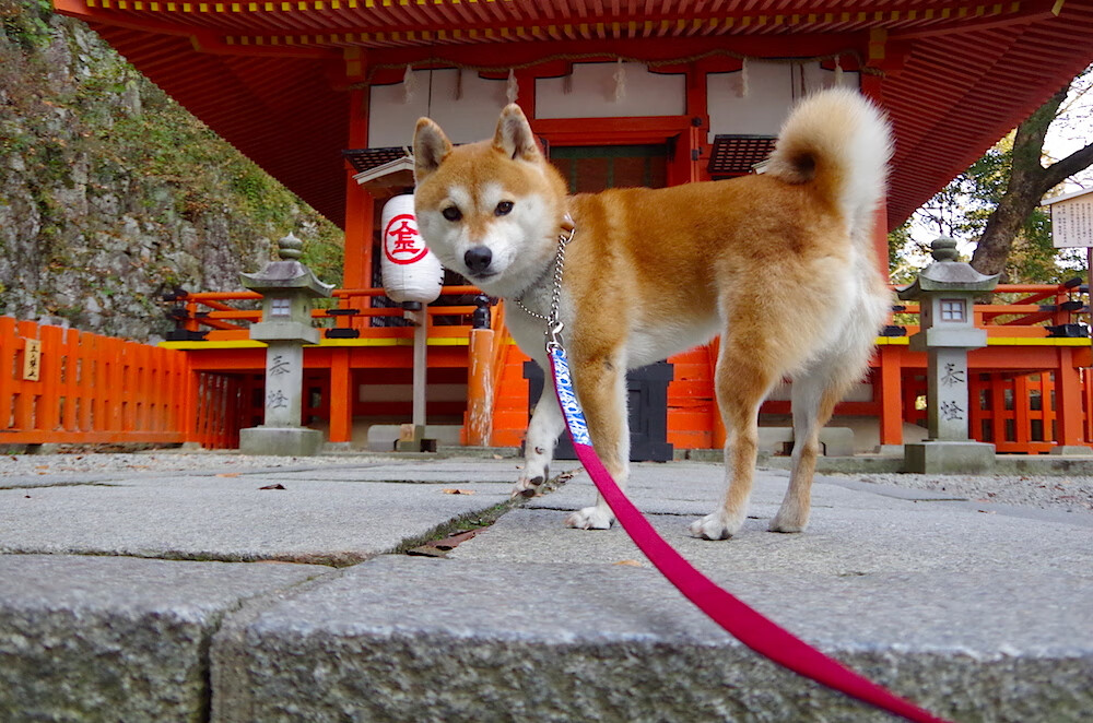 熔炉104分钟，当鏖战炼出关键先生拉文
