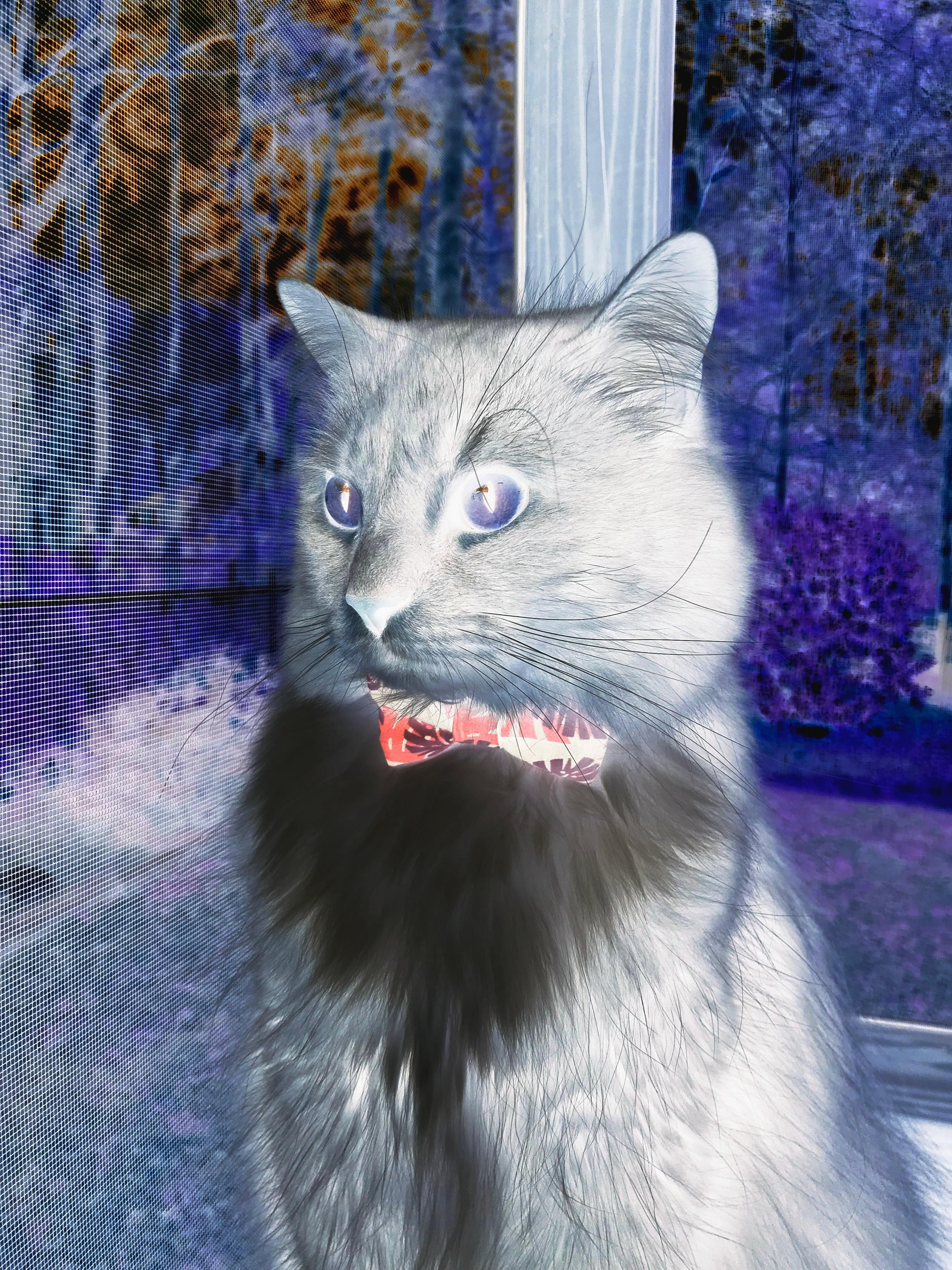 刹那与永恒，76人险胜雄鹿与库里里程碑的双重奏