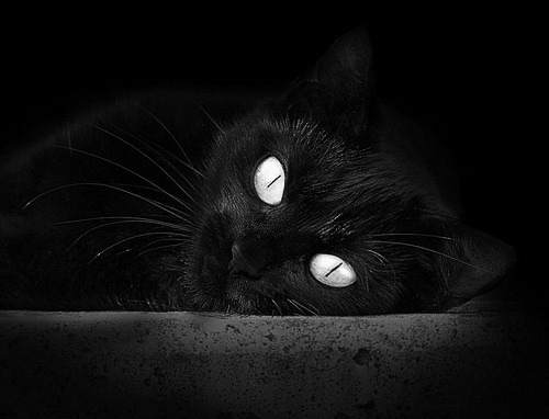 暴雨、斗牛士与里程碑,奥亚尔萨瓦尔击碎苏格兰的铁幕