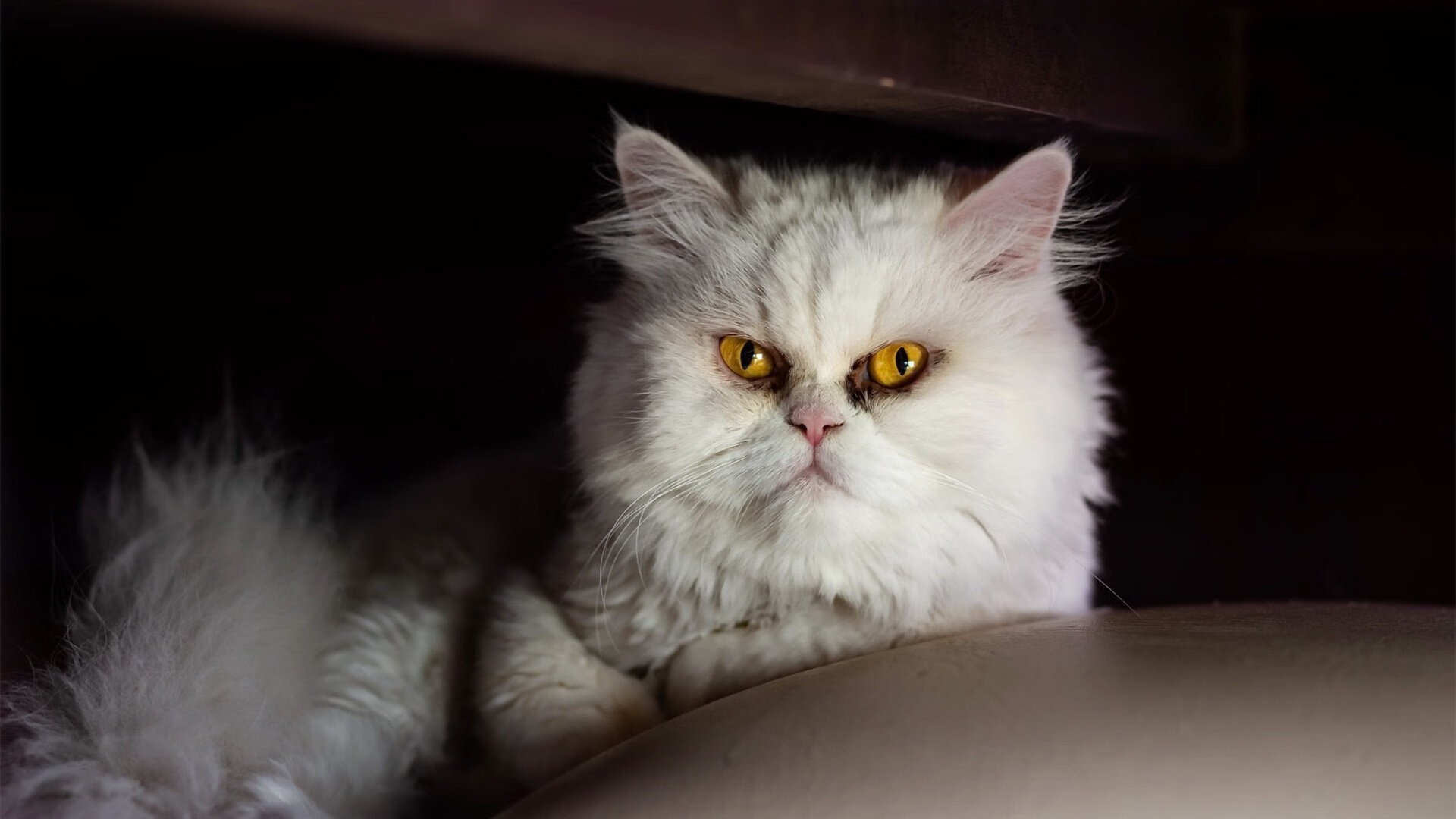 贝恩利刃出鞘，火力网笼罩赛场，一场定义冠军相的对决