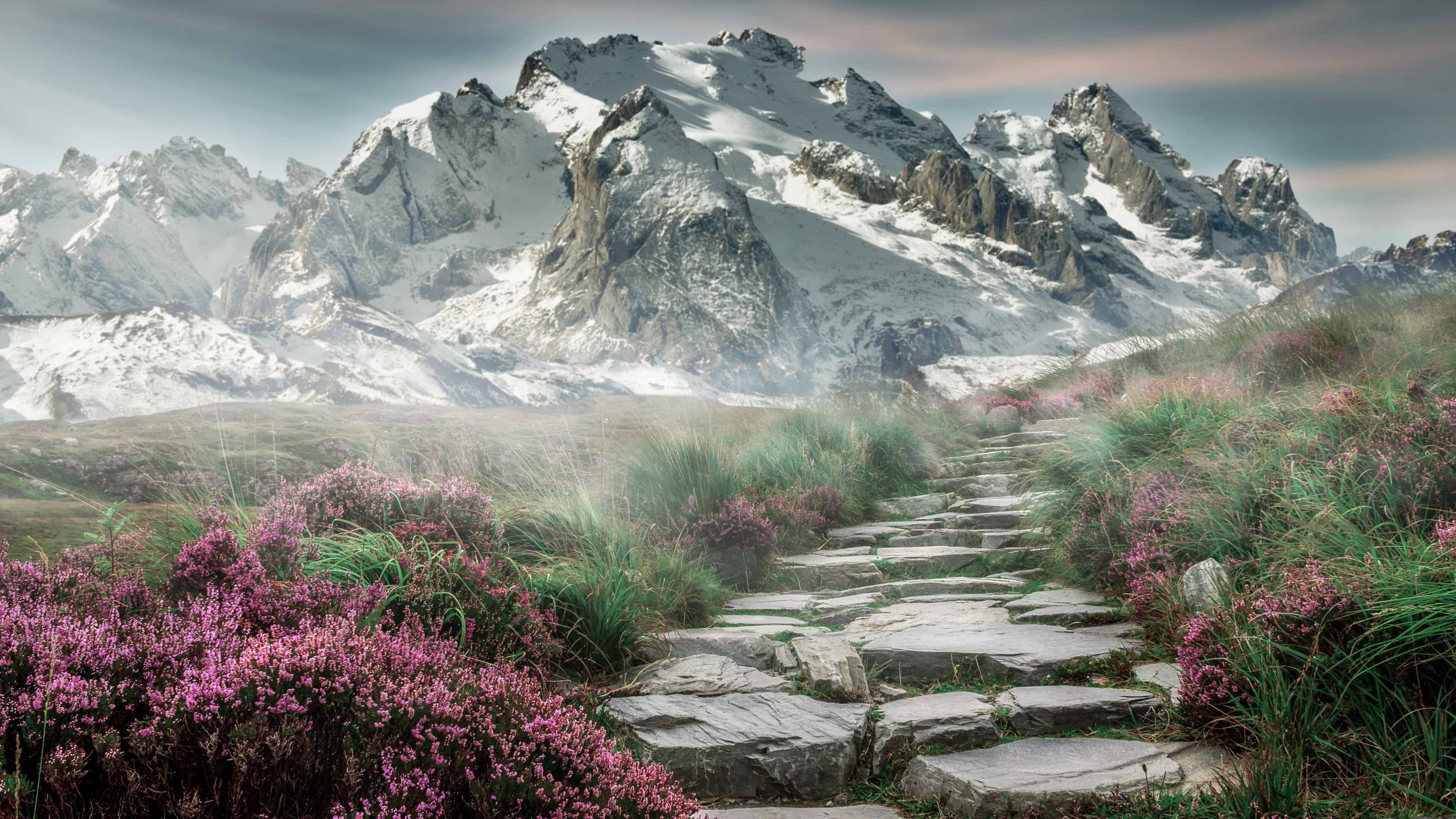 极速与对抗,F1争冠战与辽宁队的胜利交响曲