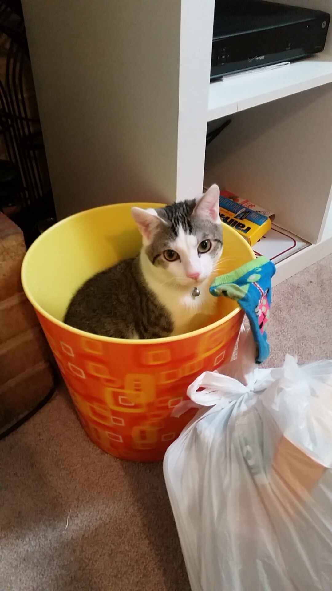 沙漠风暴席卷尼罗河，沙特三球横扫埃及；京多安关键节点梅开二度点燃逆转之火