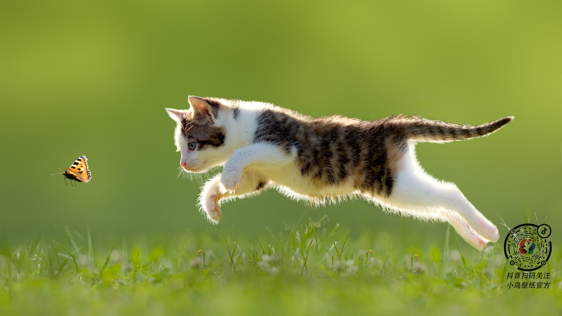 神话之夜，诺坎普最后的神迹与无法复制的瞬间