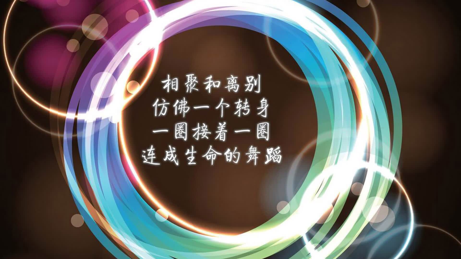 2026世界杯C组焦点战,哈兰德神锋无解,哥伦比亚以默契写就绿茵诗歌