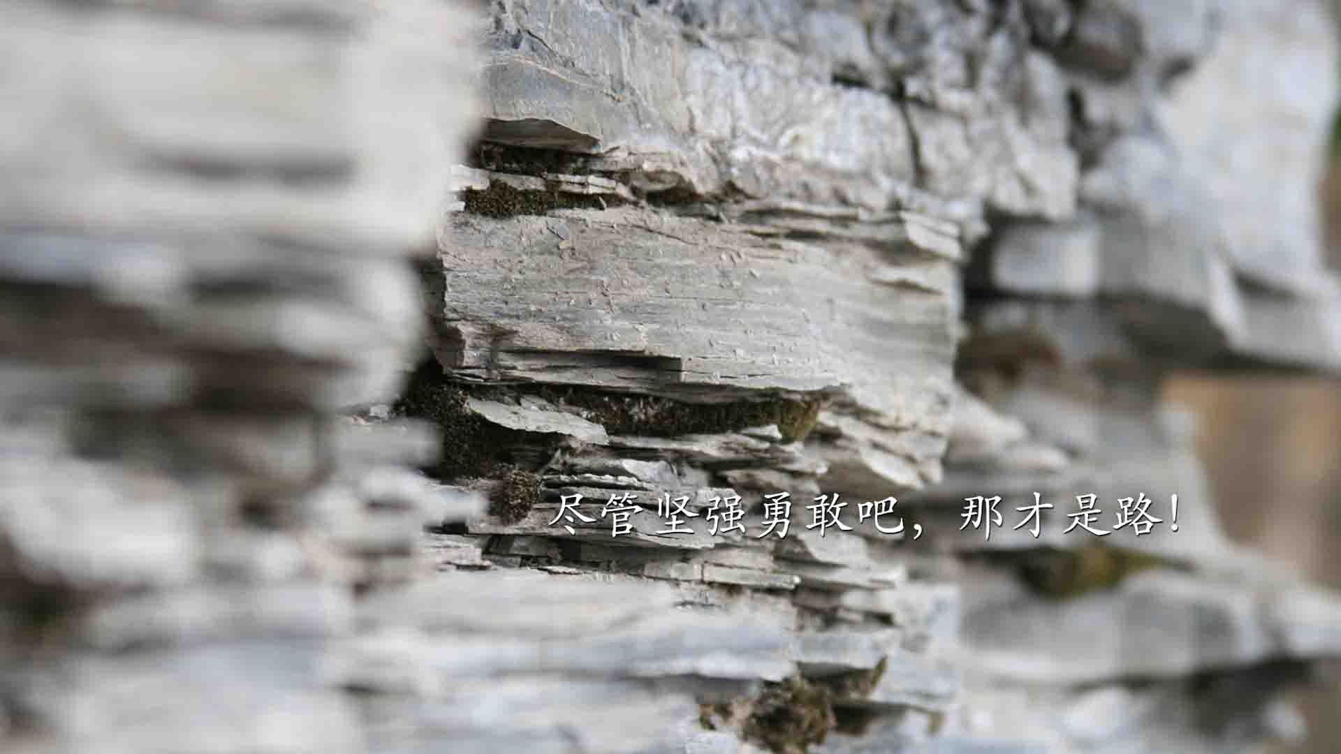 北境之蓝与东瀛武士的碰撞,卢卡库点燃2026世界杯G组唯一之战